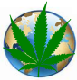 US Virgin Islands Event - Global Marijuana March