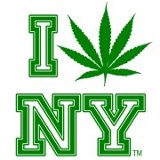 New York - Local Resources, Legalize Marijuana in New York