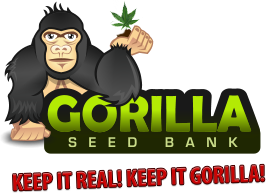 Gorilla Cannabis Seed Bank