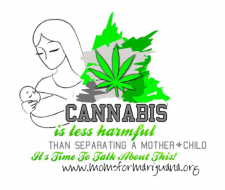Idaho - News, Action Alert: Police Raid Home of Medicinal Marijuana Activist, Throw Her Kids in Foster Care