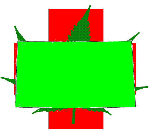 Colorado - Medical Cannabis (marijuana)