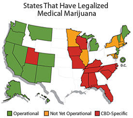 Medical Marijuana in America: The Map - by NORML